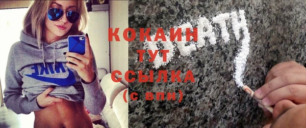 твердый Алексин