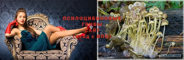 круглые Алзамай
