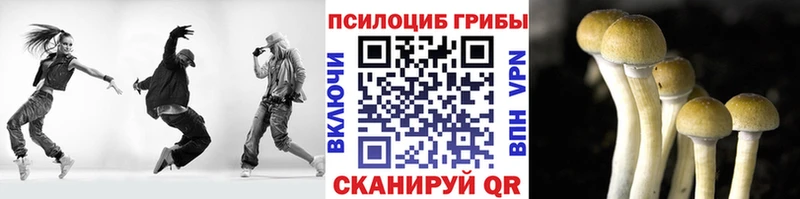 МЕГА онион продажа наркотиков Кемерово Галлюциногенные грибы Magic Shrooms