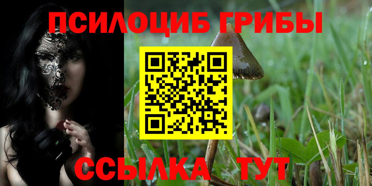 Псилоцибиновые грибы Magic Shrooms Кемерово