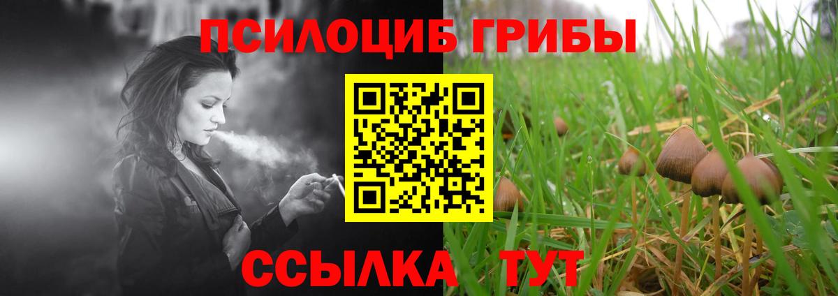 Кемерово  Галлюциногенные грибы мицелий  Вход с VPN 